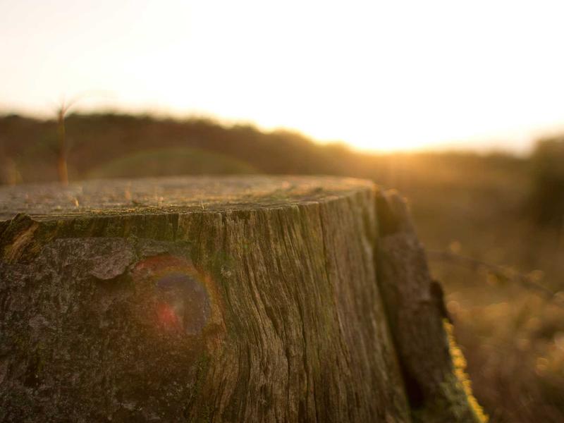 feedback screenshot 2